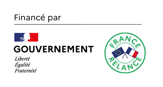 logo-gouvernement-francais.png